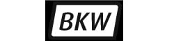 bkw instruments logo